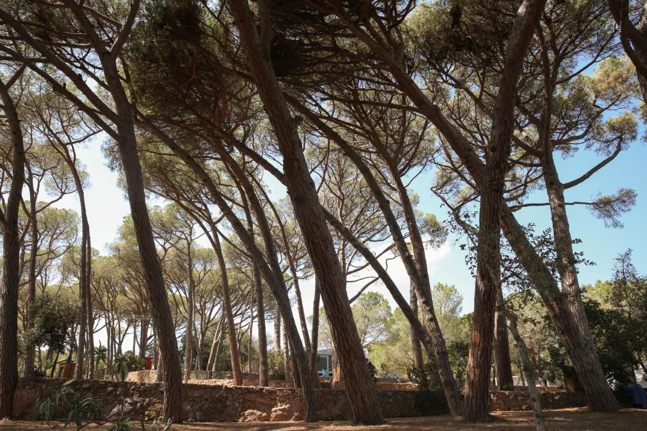 Camping 3 Estrellas Costa Brava Vall-llobrega Kültér fotó